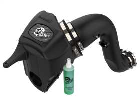 Momentum HD Pro DRY S Air Intake System 51-72005-E